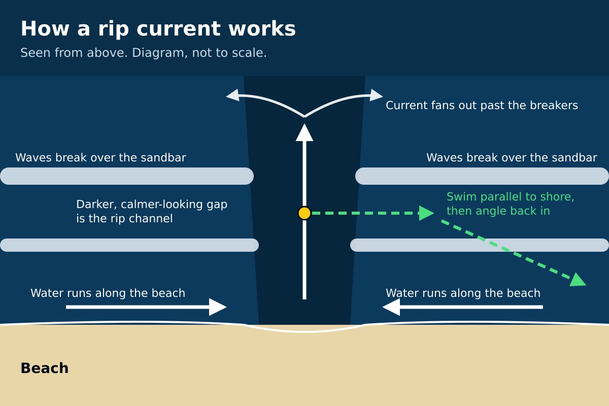 Diagram of a rip current from above: a dark gap between breaking waves, currents running seaward, and the escape route parallel to shore.